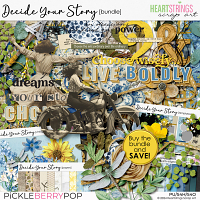 Decide Your Story Bundle