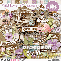 Wildflowers Whispers Kit by JB Studio
