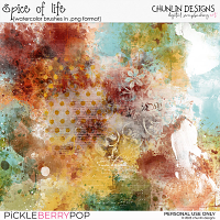 Spice of Life - watercolor brushes in .png format