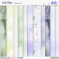 CIEL BLEU PAPERS 2