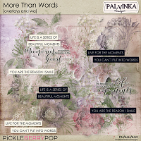 More Than Words Overlays and WA