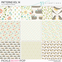 Patterns Vol14 (CU)