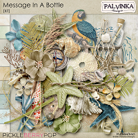 Message In A Bottle Kit