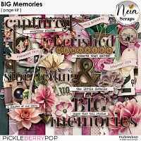 BIG Memories - Page Kit - by Neia Scraps