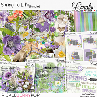 Spring To Life-Bundle