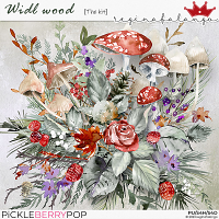 WILD WOOD THE KIT