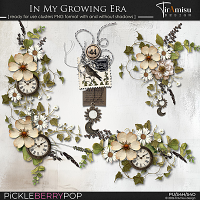 In My Growing Era ~ Ready For Use Clusters