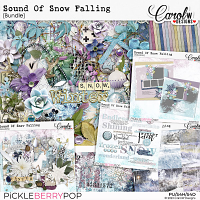 Sound Of Snow Falling-Bundle