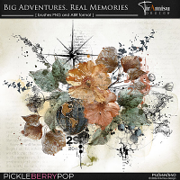 Big Adventures. Real Memories ~ art brushes 