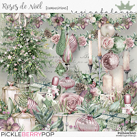 ROSES DE NOEL COMPOSITIONS