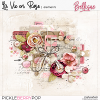 LA VIE EN ROSE | elements by Bellisae