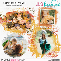 Capture Autumn Photo Masks & Brushes by JB Studio