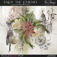 Enjoy The Journey ~ brushes