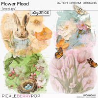 Flower Flood - Overlays