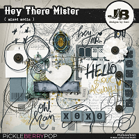 Hey There Mister Mixed Media by JB Studio