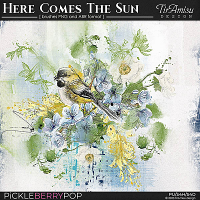 Here Comes The Sun~ art brushes 