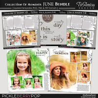 Collection Of Moments Templates ~ June Bundle 