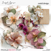 Simple Essence Overlays