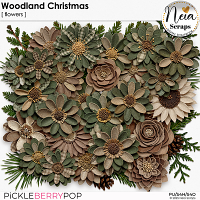 Woodland Christmas - Flowers - by Neia Scraps