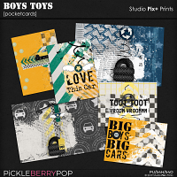 Boys Toys - Pocketcards