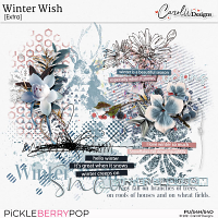 Winter Wish-Extra