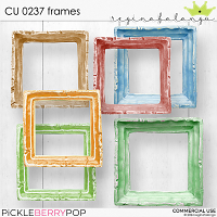 CU 0237 FRAMES