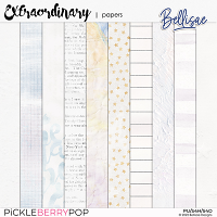 EXTRAORDINARY | papers by Bellisae