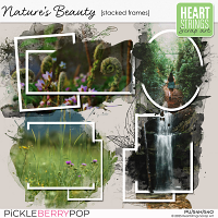 Nature's Beauty Stacked Frames