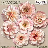 CU Flowers 43