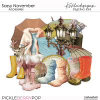 Sassy November Accessories