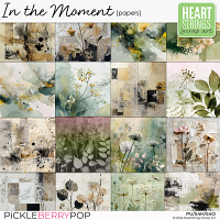 In the Moment Papers