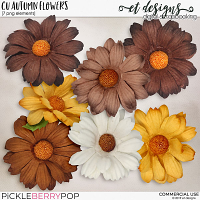 CU Autumn Flowers