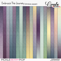 Embrace the Journey-Ombre paper