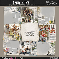 Our 2023 ~ Art Templates Album by TirAmisu design