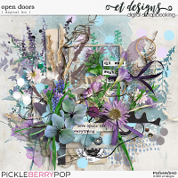 Open Doors Kit by et designs