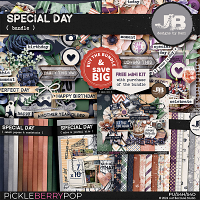 Special Day Bundle by JB Studio