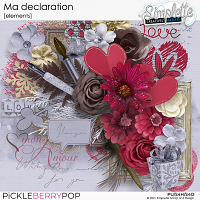 Ma Declaration (elements) by Simplette