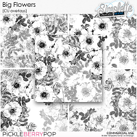 Big Flowers (CU overlays) by Simplette