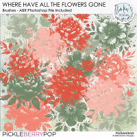 Where Have All The Flowers Gone Brushes by Ilonka's Designs