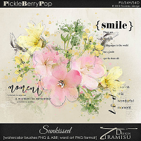 Sunkissed ~ watercolor brushes & word art by Tiramisu design 