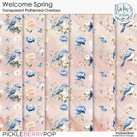 Welcome Spring Transparent Patterned Overlays by Ilonka's Designs