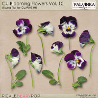 CU Blooming Flowers 10