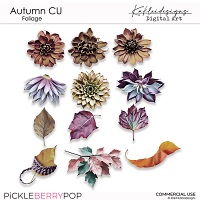 CU Autumn Foliage