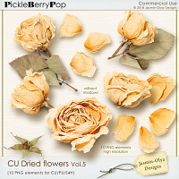 CU Dried flowers Vol.5 (Jasmin-Olya Designs)