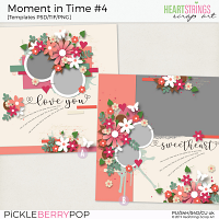 Moment in Time #4 Templates