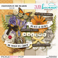 Footsteps in the Meadow Mini Kit by JB Studio