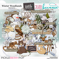 Winter Woodlands Elements by JB Studio and Aimee Harrison Designs