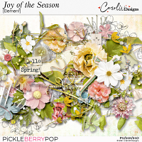 Joy of the season-Elements