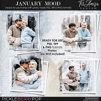 January Mood ~ Out Of Bounds photo masks by TirAmisu design