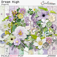 Dream High-Page Kit